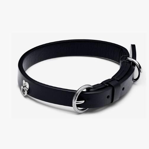 Alloy Bracelets for Dog