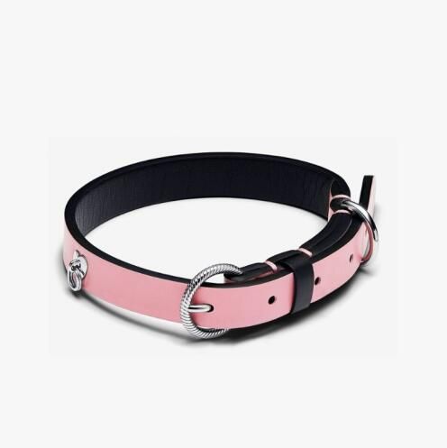 Alloy Bracelets for Dog