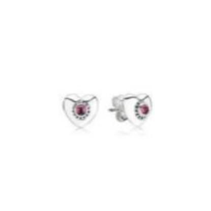 10PCS Promotion AAA GRADE S925 ALE Sterling Silver Earrings