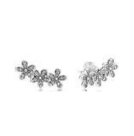 10PCS Promotion AAA GRADE S925 ALE Sterling Silver Earrings