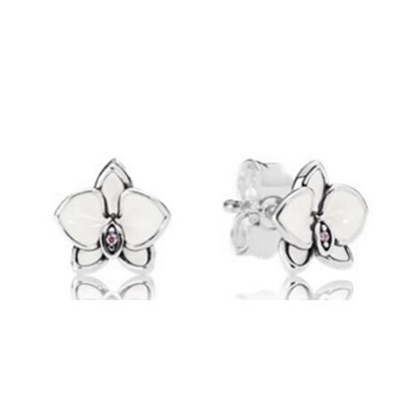 10PCS Promotion AAA GRADE S925 ALE Sterling Silver Earrings