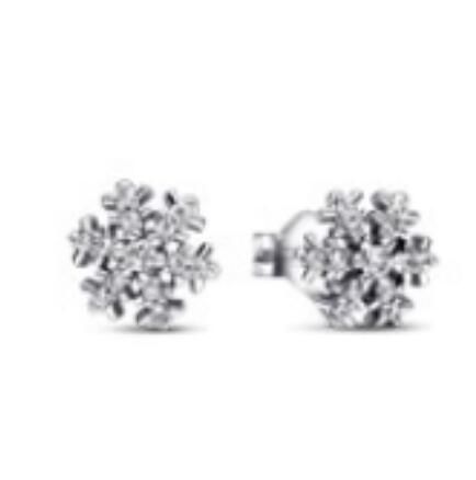 10PCS Promotion AAA GRADE S925 ALE Sterling Silver Earrings