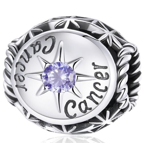 925 Sterling Silver Zodiac Charm