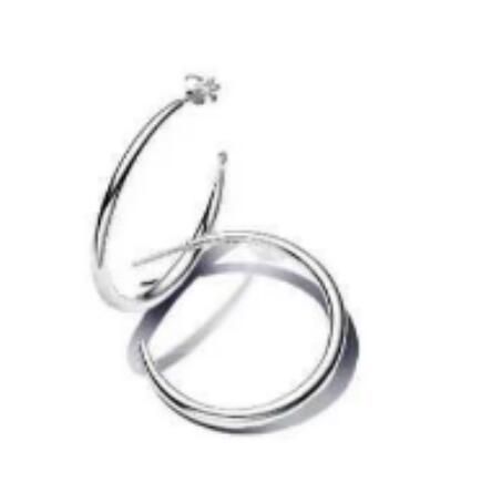 Promotion  1:1 COPY S925 ALE Sterling Silver Earrings