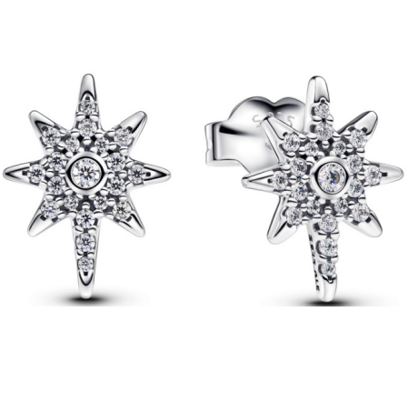 Promotion  1:1 COPY S925 ALE Sterling Silver Earrings