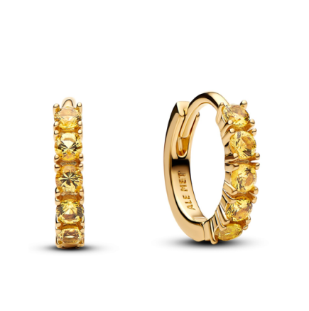 Promotion  1:1 COPY S925 ALE Sterling Silver Earrings